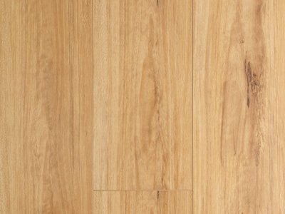 Oakleaf Laminate Blackbutt